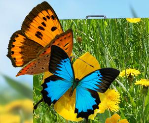 米兰milan小间距LED显示屏的魅力所在