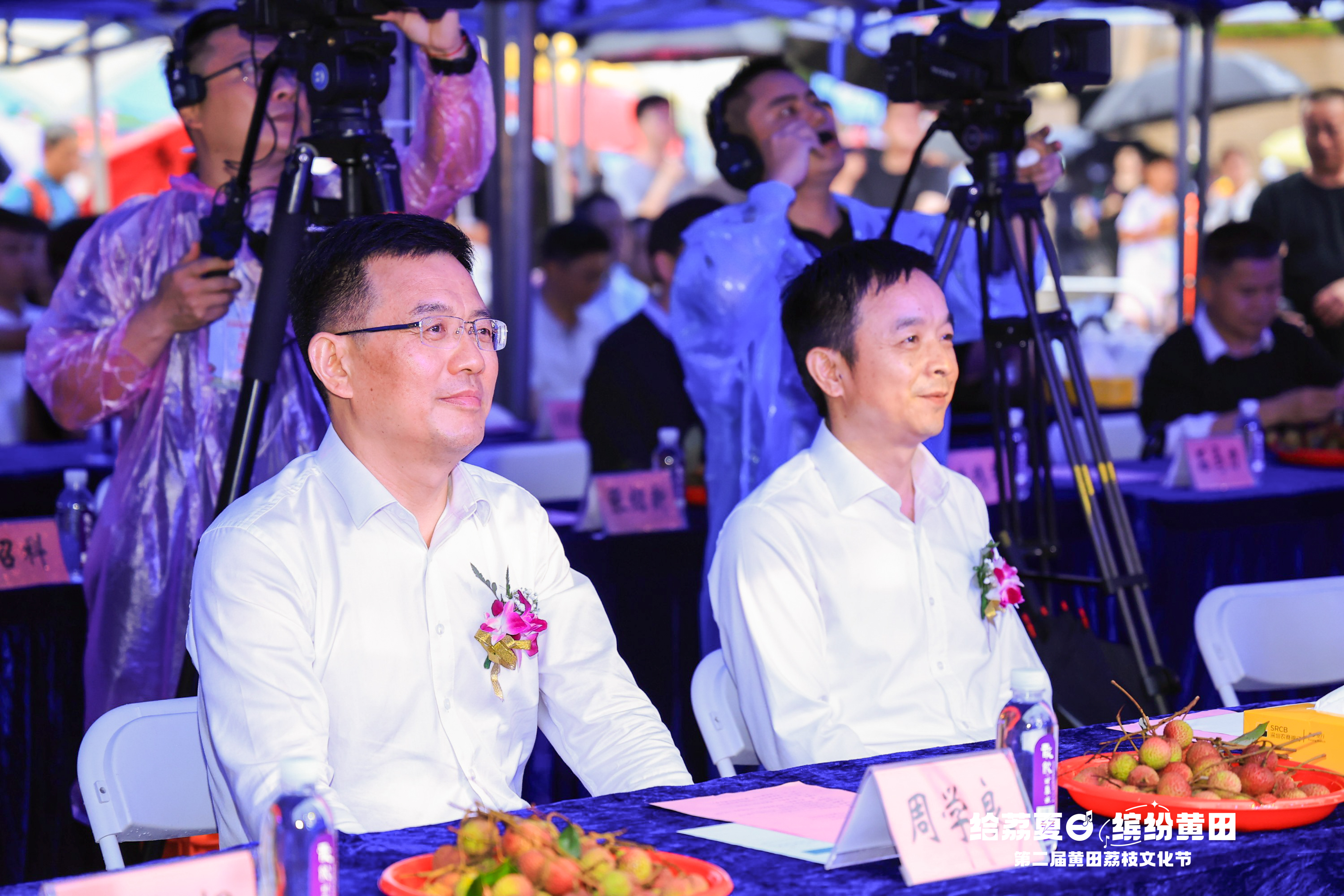 第二届黄田荔枝文化节 第二届黄田荔枝文化节